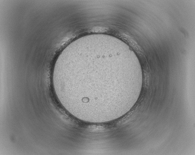 X0000115280354200911272012