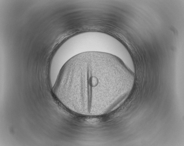 X0000115280357200911272012