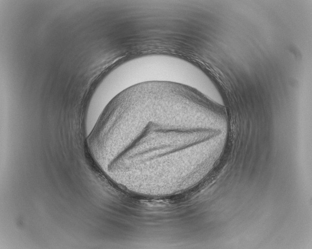 X0000115280359200911272012