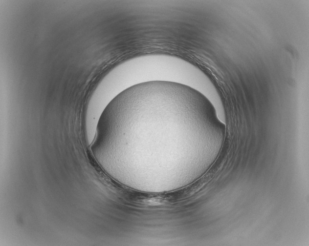 X0000115280365200911272012