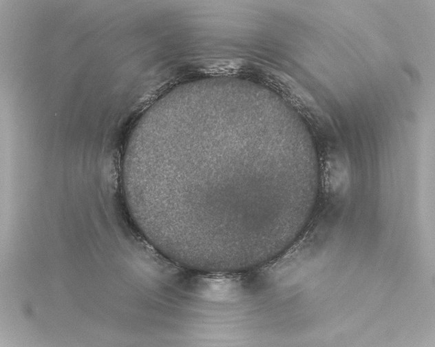 X0000115280370200911272012