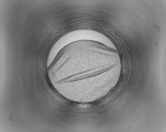 X0000115280375200911272012