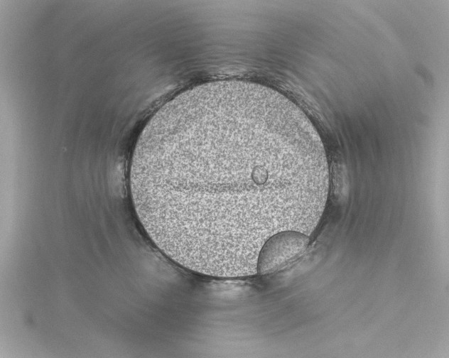 X0000115280378200911272012