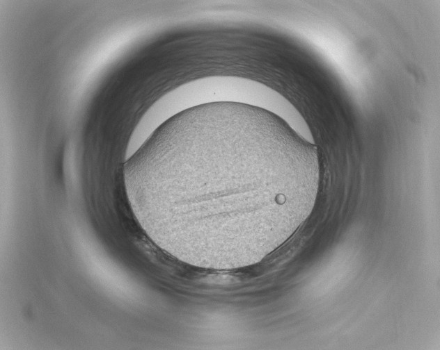 X0000115280383200911272012