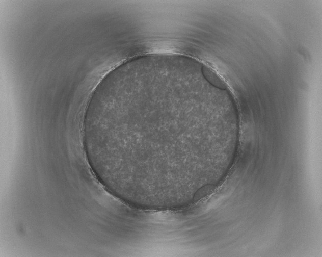 X0000115280385200911272011