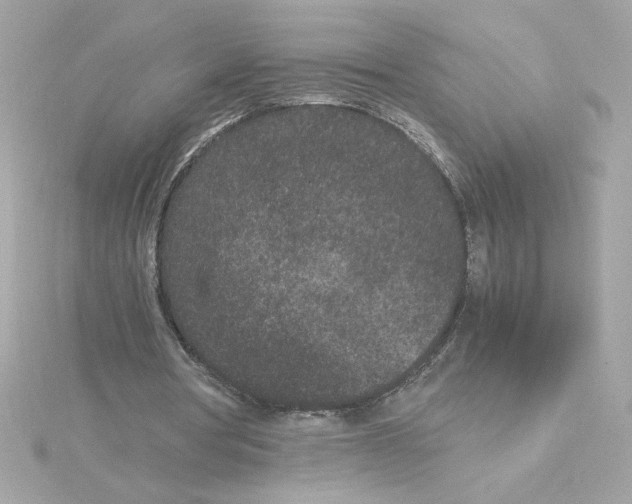 X0000115280386200911272011