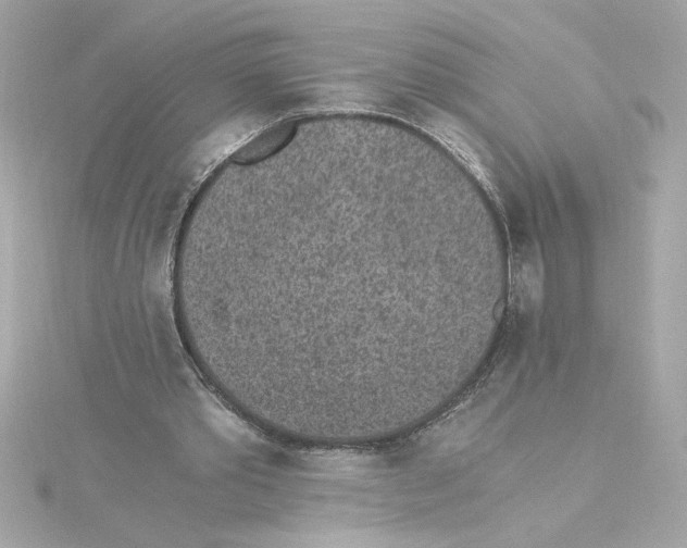 X0000115280389200911272011