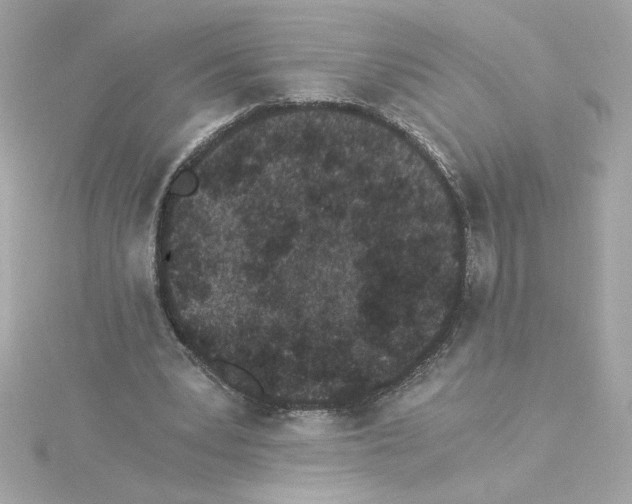 X0000115280391200911272011