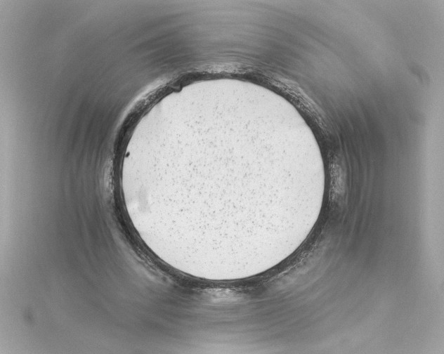 X0000115280392200911272011