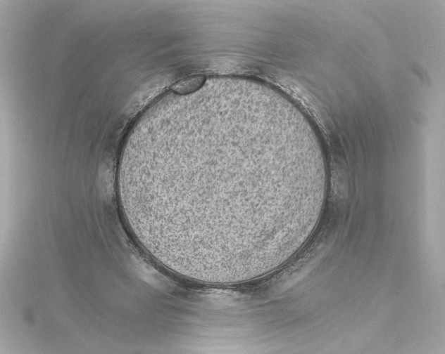 X0000115280393200911272011