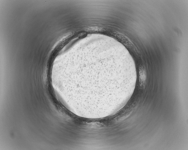 X0000115280396200911272011