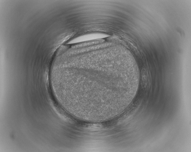 X0000115280398200911272011