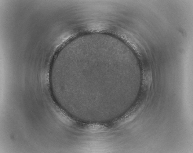 X0000115280399200911272011