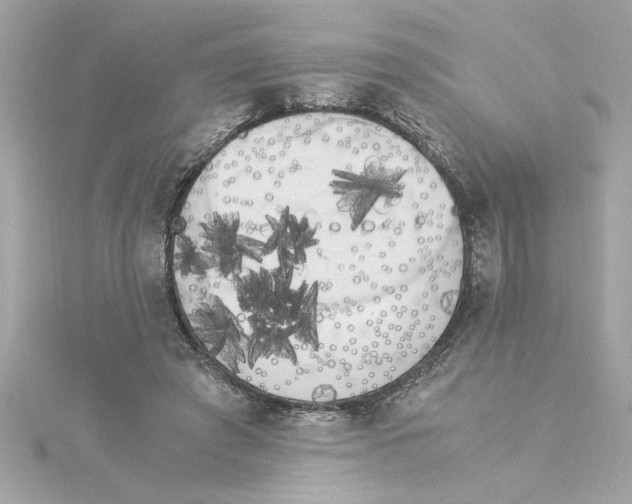 X0000115280401200911272011