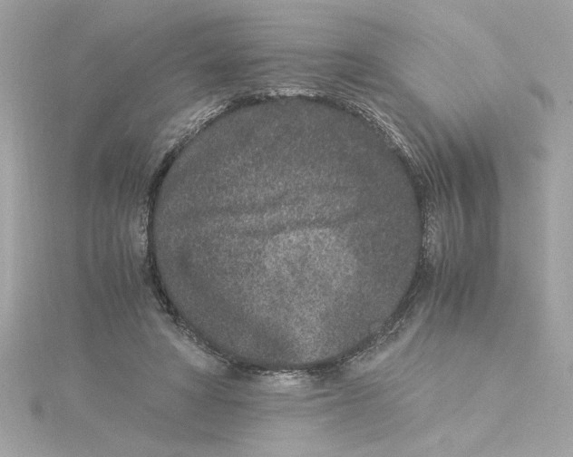 X0000115280402200911272011