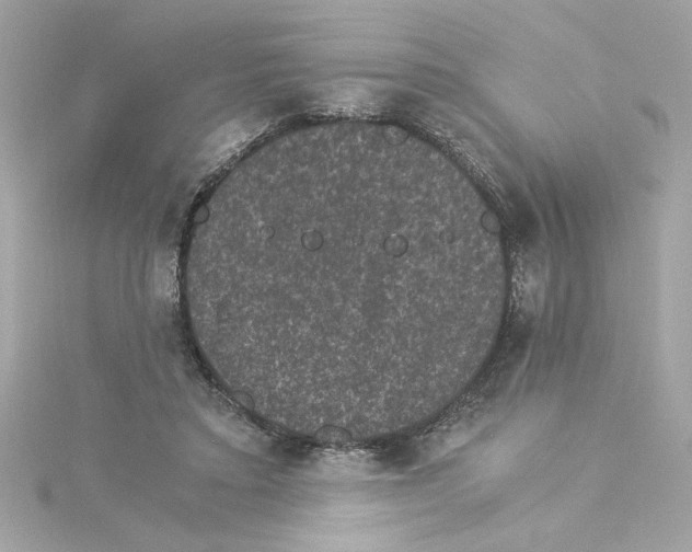 X0000115280403200911272011