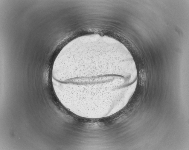 X0000115280404200911272011