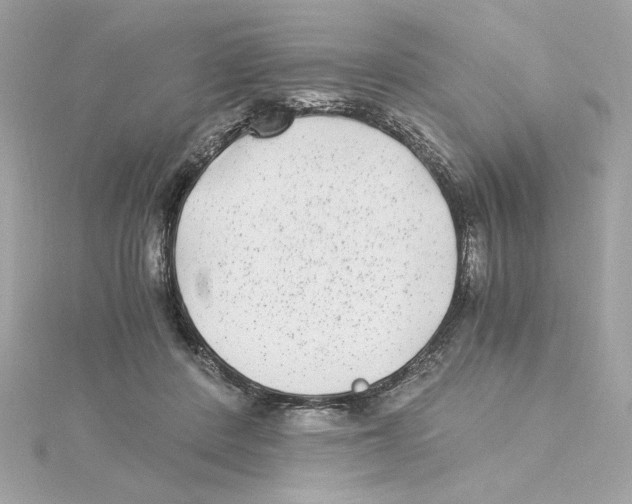 X0000115280408200911272011