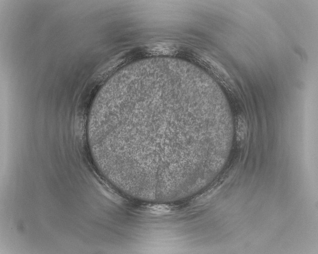 X0000115280409200911272011