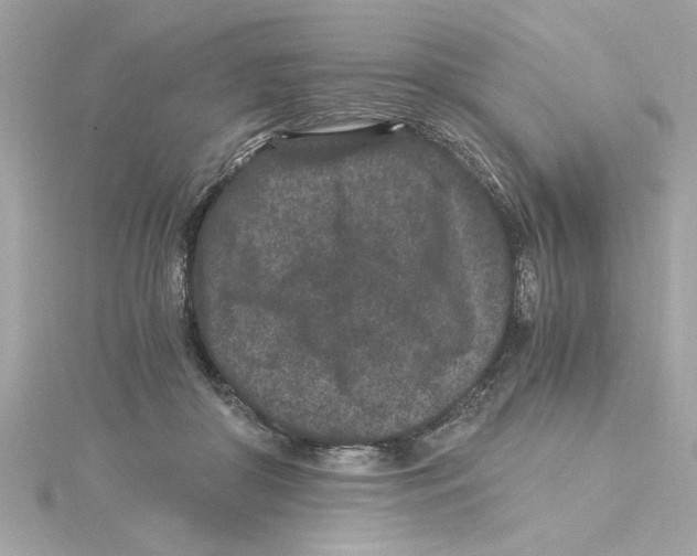 X0000115280410200911272011