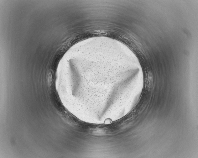 X0000115280412200911272011