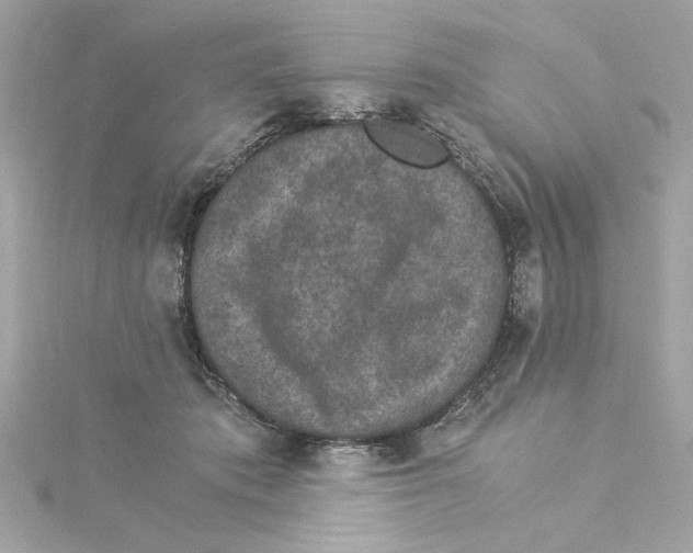 X0000115280413200911272011