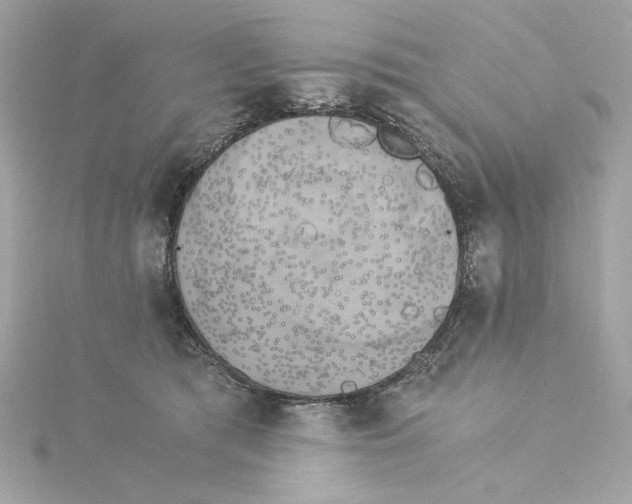 X0000115280417200911272011