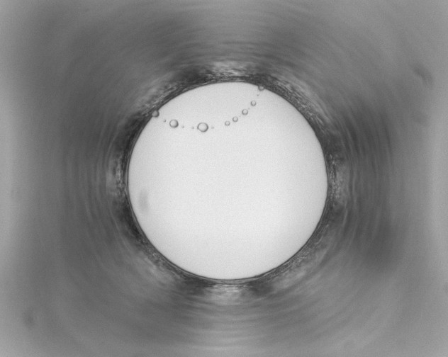 X0000115280418200911272011