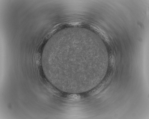 X0000115280421200911272011