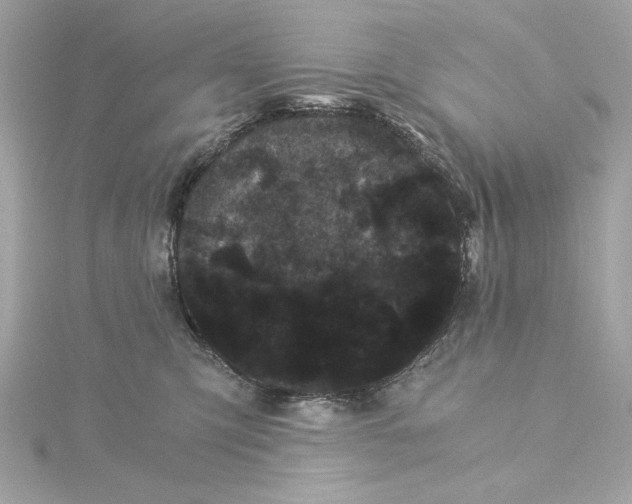 X0000115280423200911272011