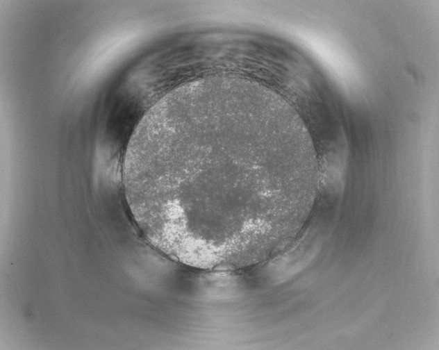 X0000115280431200911272011