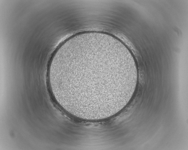 X0000115280434200911272010