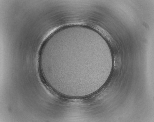 X0000115280436200911272010