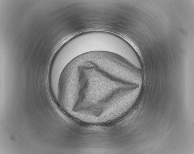 X0000115280437200911272010