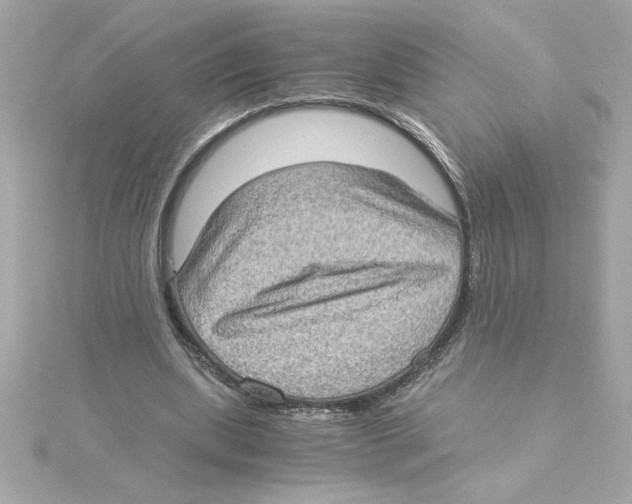 X0000115280439200911272010