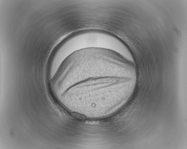 X0000115280440200911272010