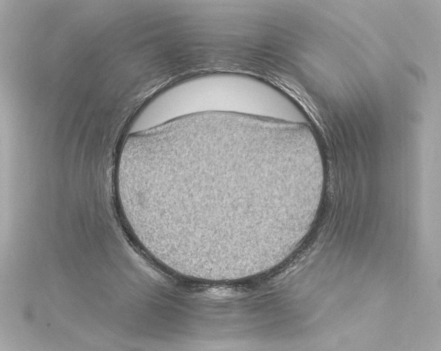 X0000115280441200911272010