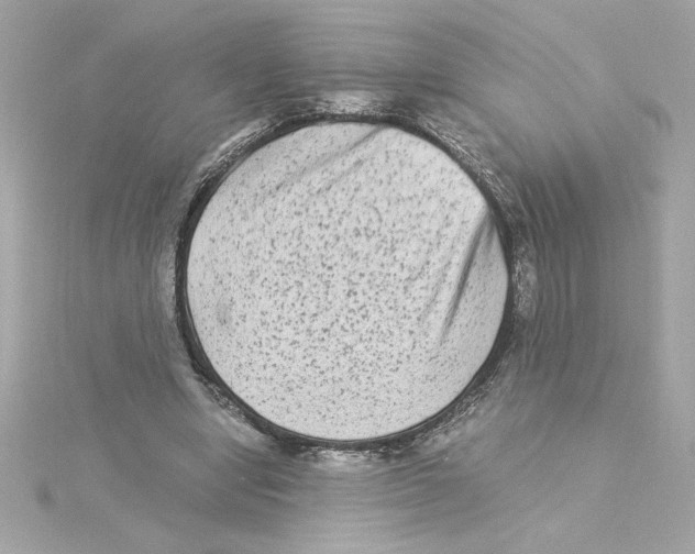 X0000115280442200911272010