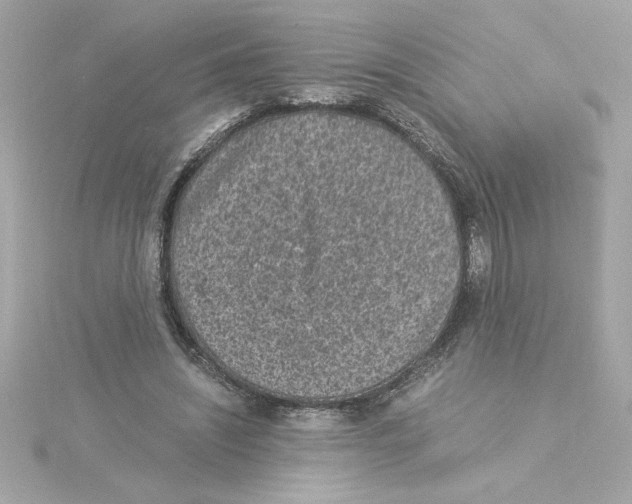 X0000115280444200911272010