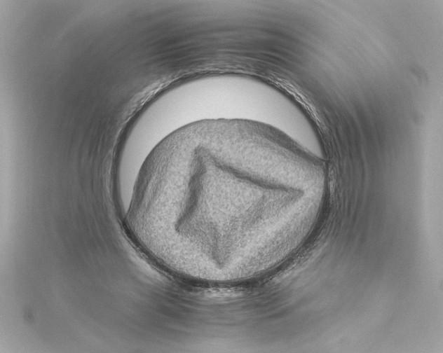 X0000115280445200911272010