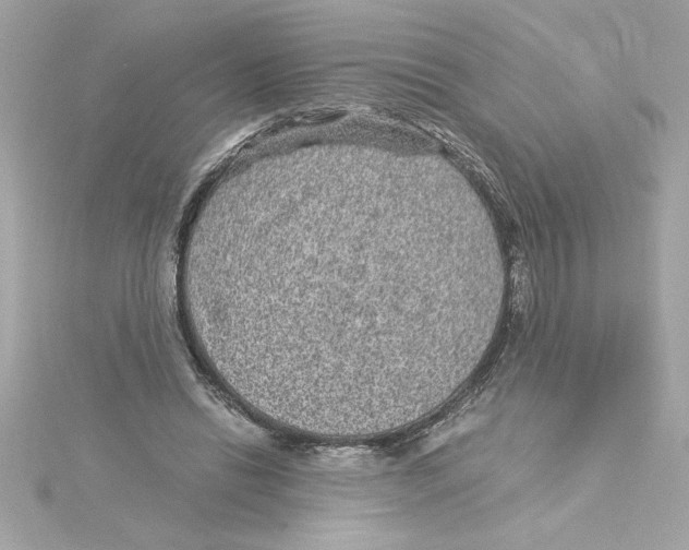 X0000115280446200911272010