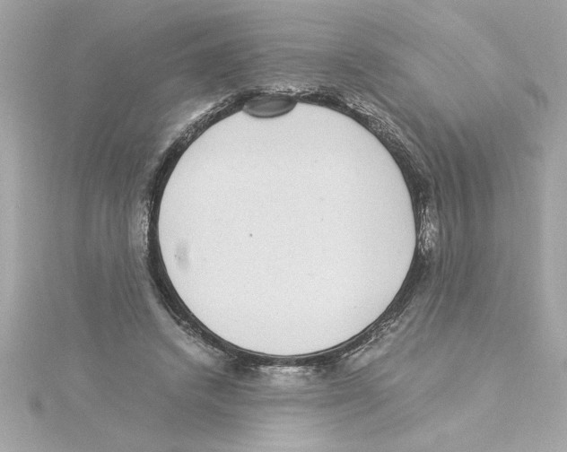 X0000115280448200911272010