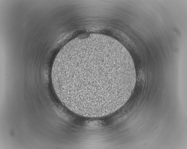 X0000115280452200911272010