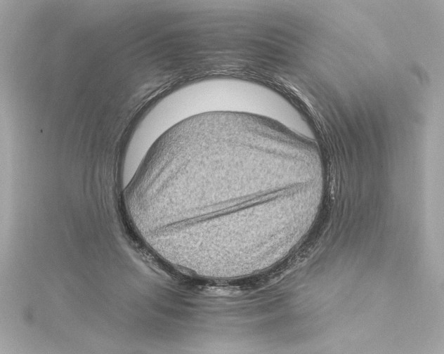 X0000115280455200911272010