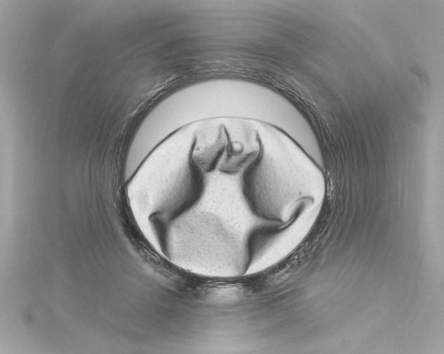 X0000115280456200911272010