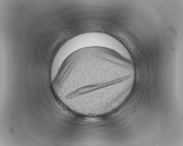 X0000115280457200911272010