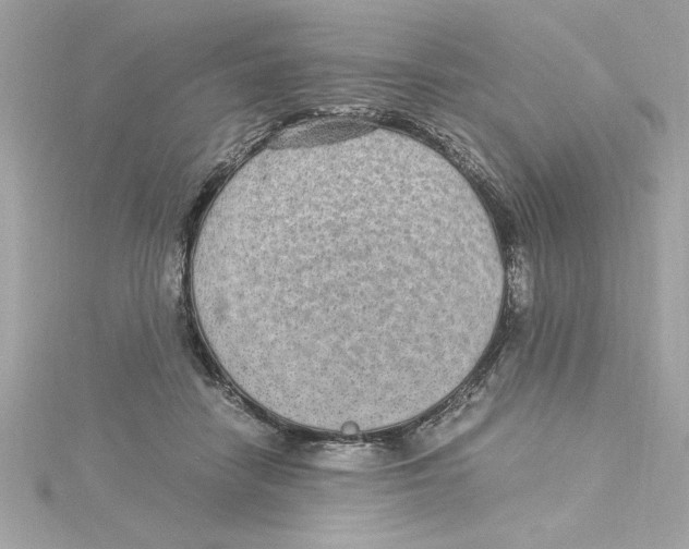 X0000115280458200911272010