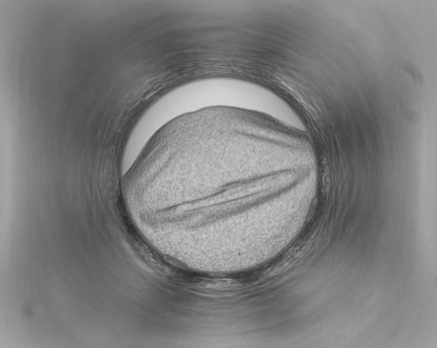 X0000115280459200911272010