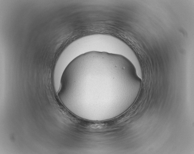 X0000115280461200911272010