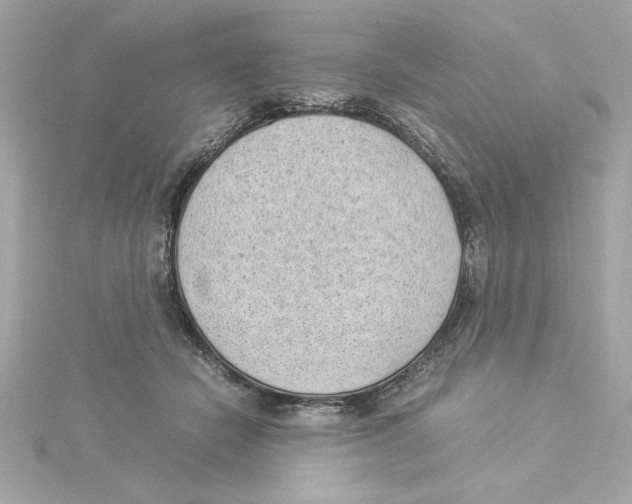 X0000115280462200911272010